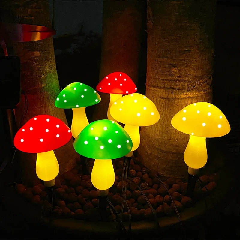 Sun mushrooms garden outside Light